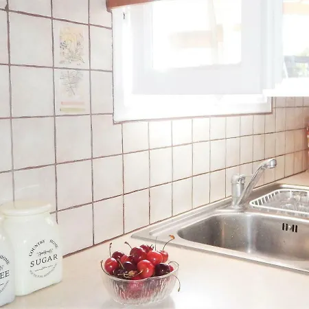 Tatil Evi Ktima Ioannis
